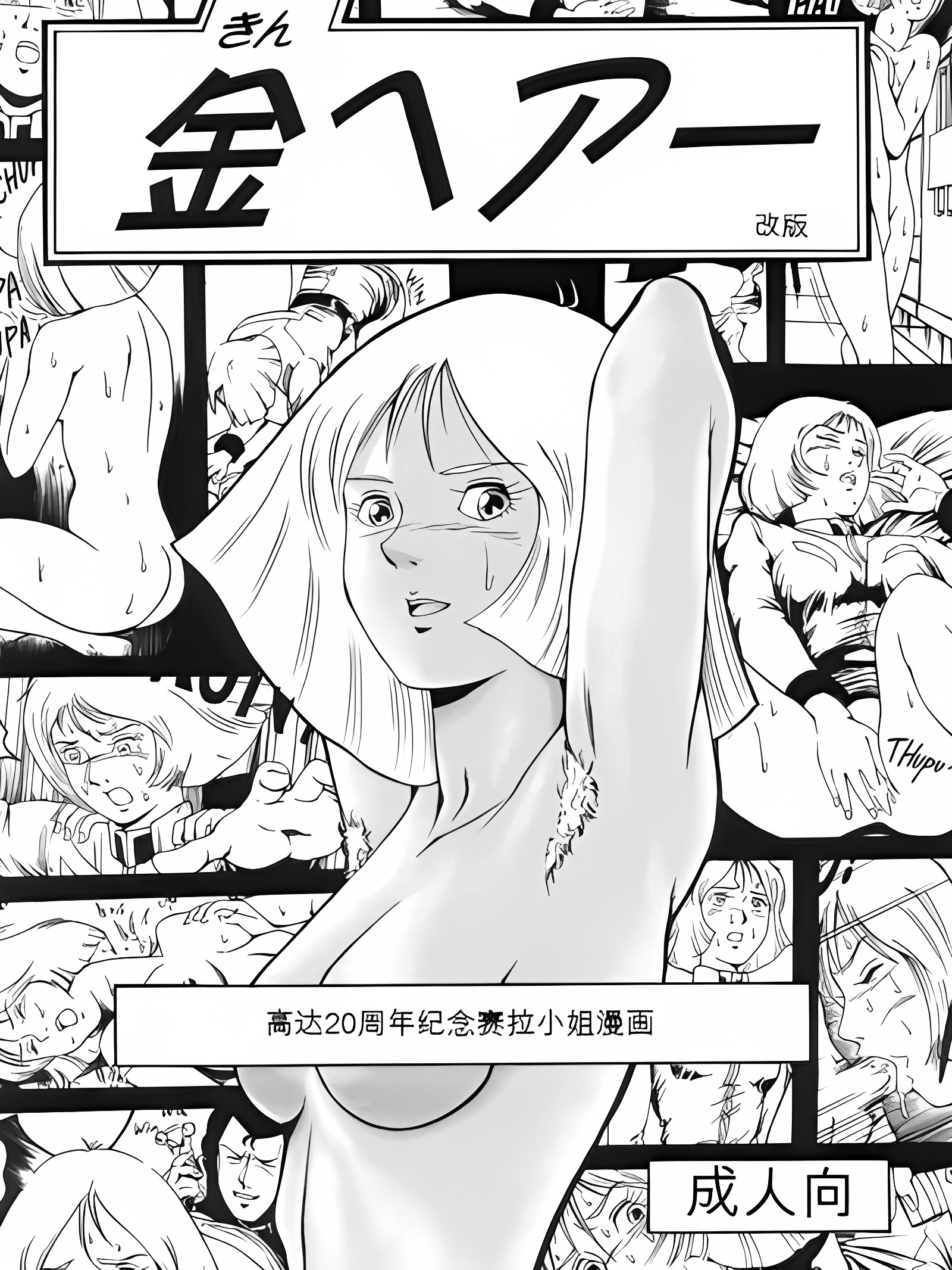 金发 修订版